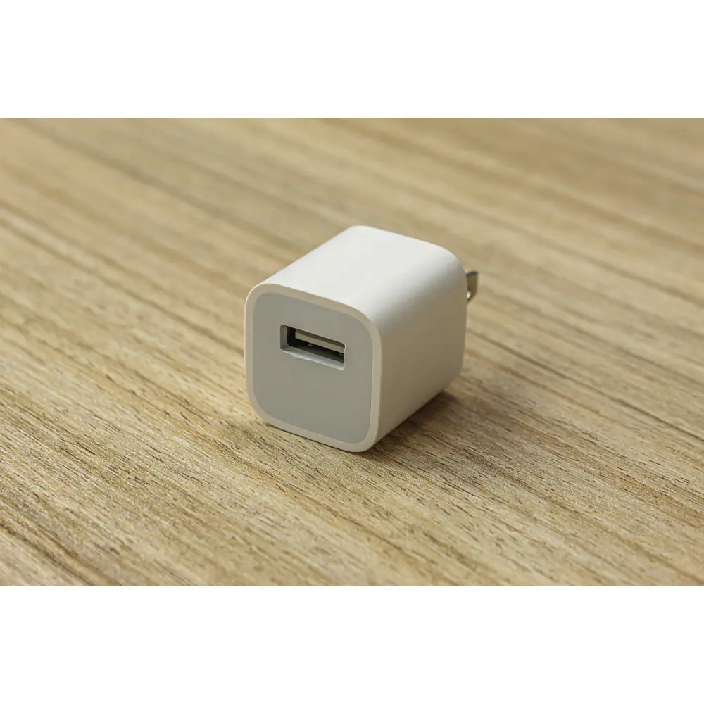 Apple MD810 USB Power Adapter Wall Charger