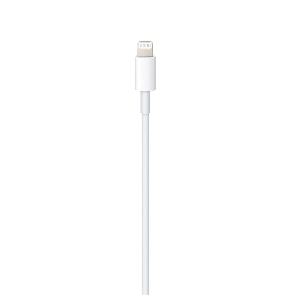 Foxconn iPhone Cable