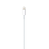 Foxconn iPhone Cable