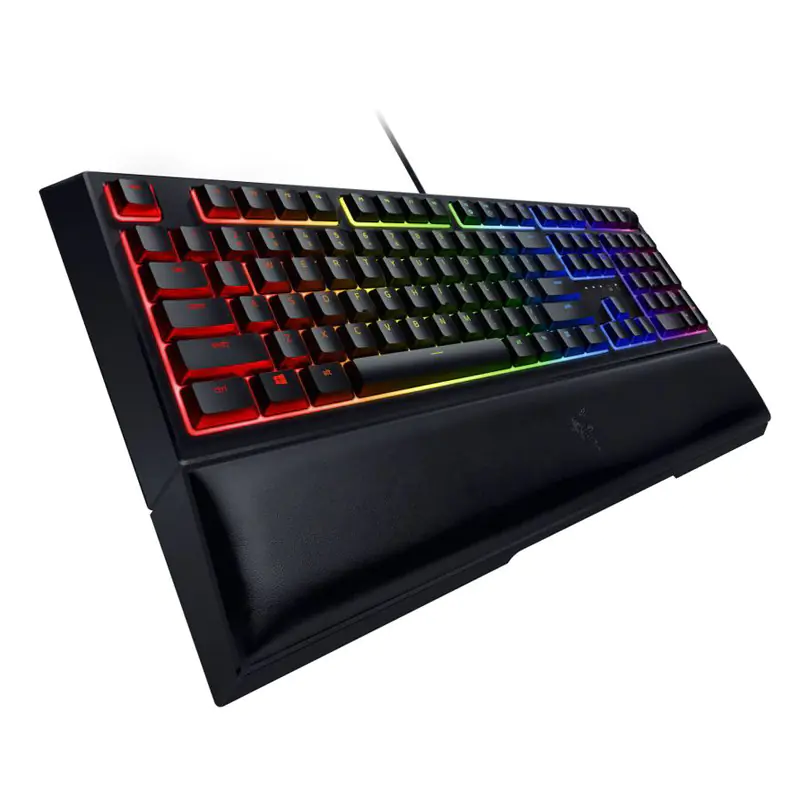razer keyboard ORNATA V2