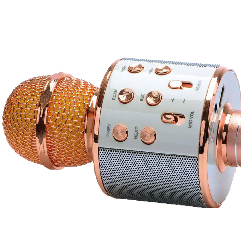 WESTER Speaker and Microphone WS-858