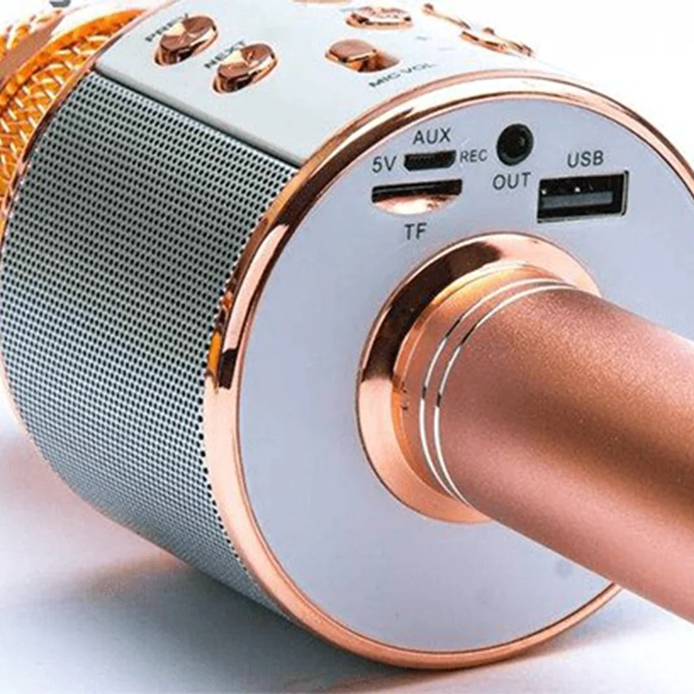 WESTER Speaker and Microphone WS-858
