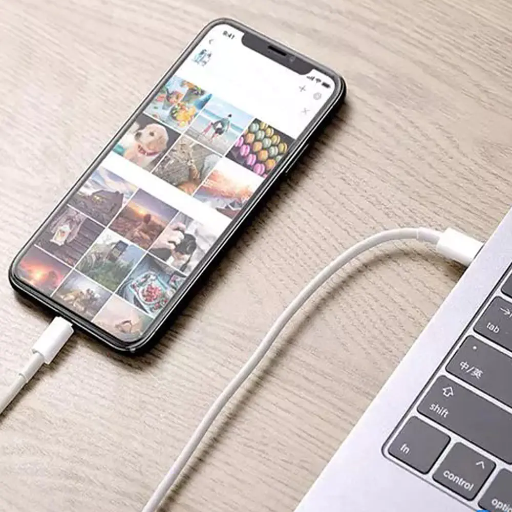 USB-C to Lightning cable Apple