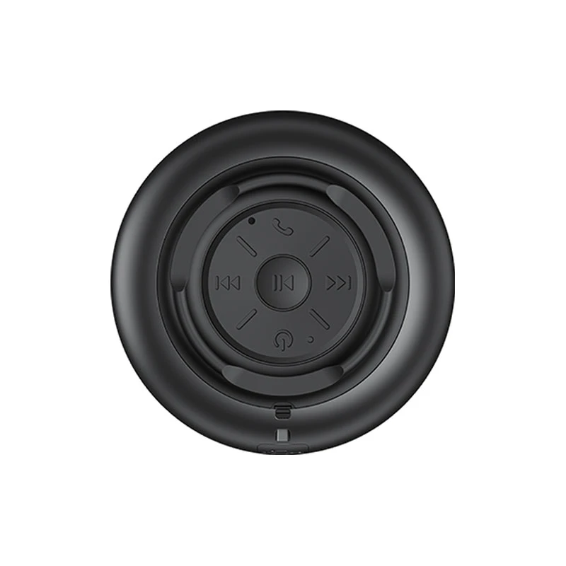 Proone PSB4511 Portable Wireless Speaker