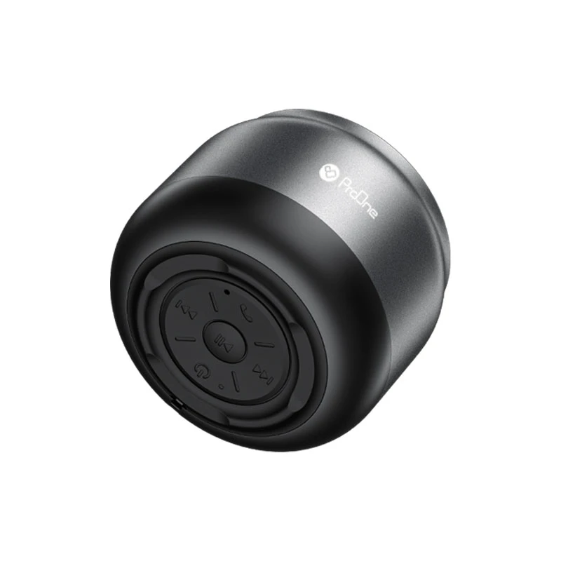 Proone PSB4511 Portable Wireless Speaker