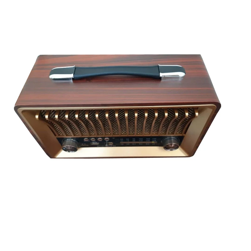 Radio spiker raiseng model R 1918 bt