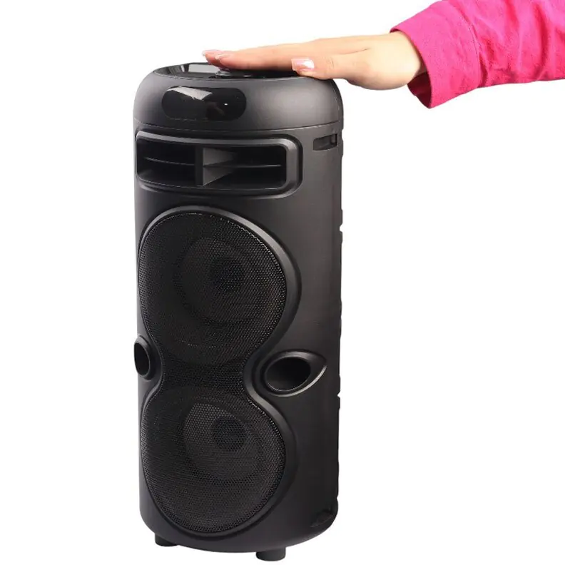 Sing-E ZQS42106 Speaker