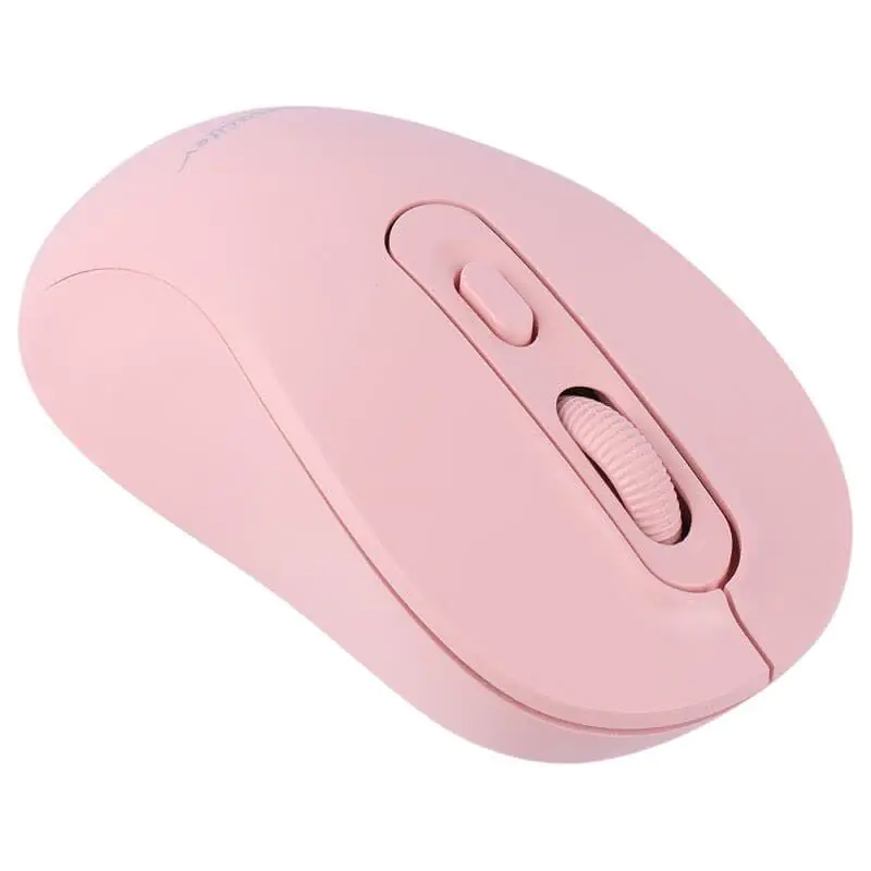 Datalife M273 wireless mouse