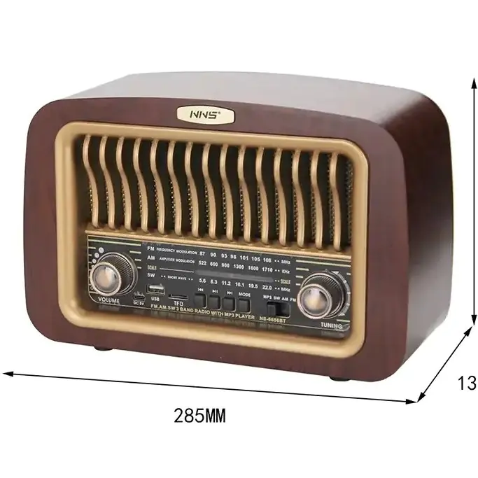 Radio Speaker model NS-6656BT