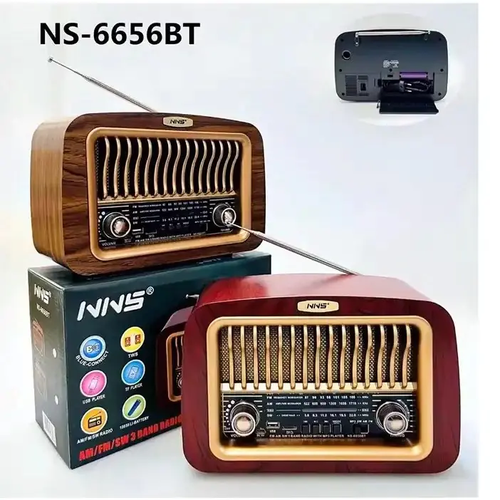 Radio Speaker model NS-6656BT