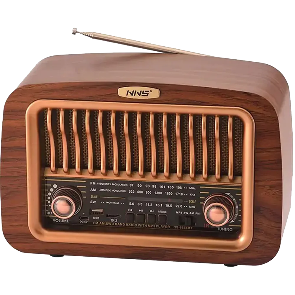 Radio Speaker model NS-6656BT