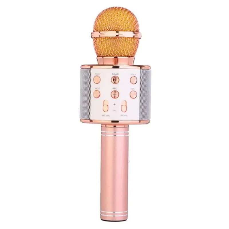 GODFREY speaker microphone model WS-858