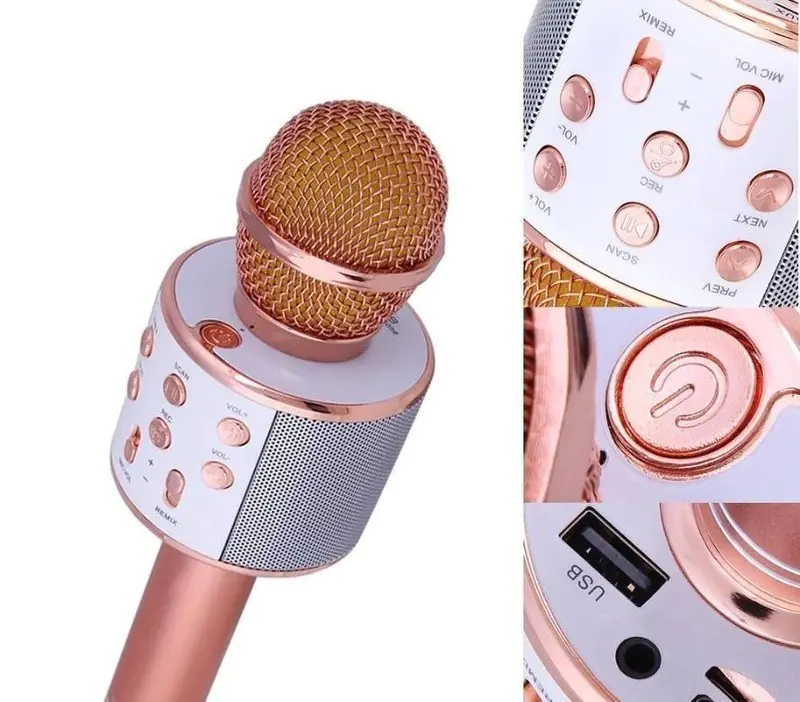 GODFREY speaker microphone model WS-858