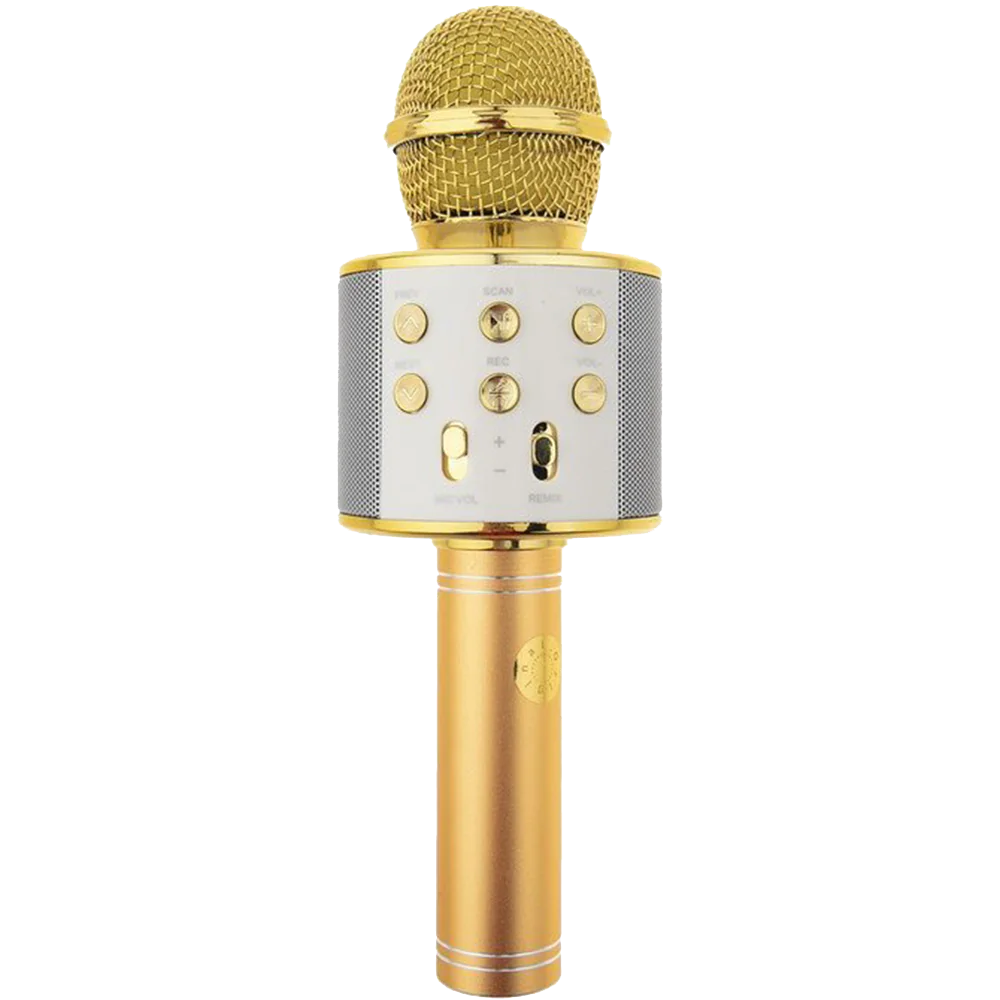 GODFREY speaker microphone model WS-858