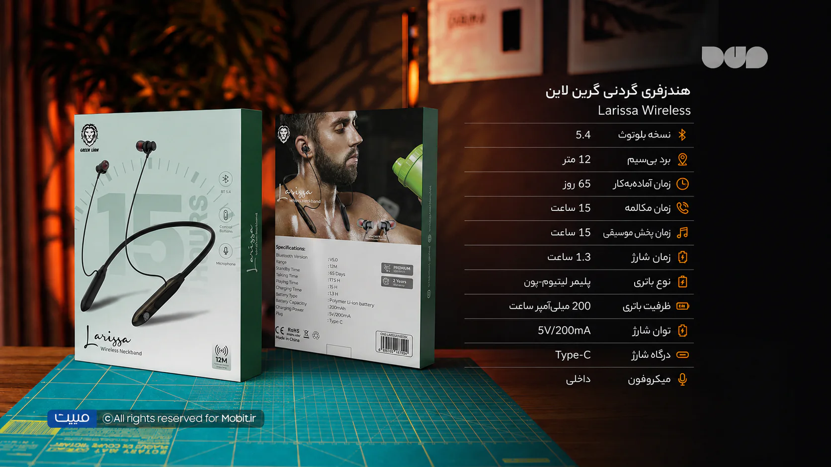 6a8bef9a5e83a.webp?inline=1
